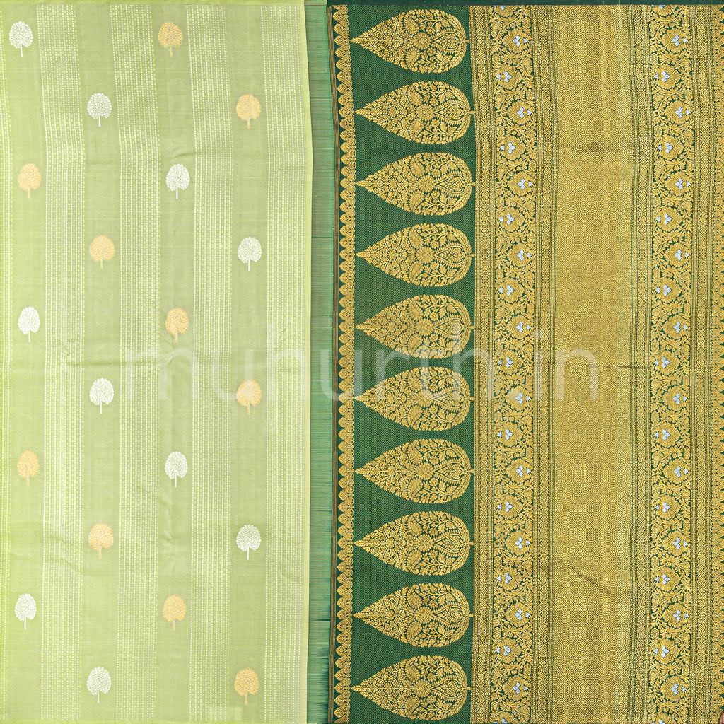 Kanjivaram Elaichi Green Silk Saree with Dark Green