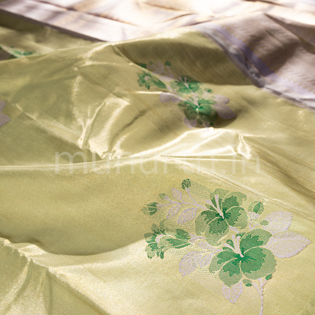 Pistachio Organza Tissue Kanjivaram Silk Saree